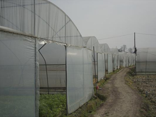 水果蔬菜基地